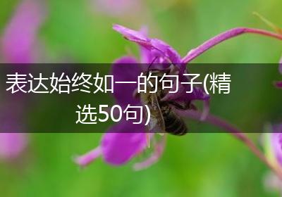 表达始终如一的句子(精选50句)