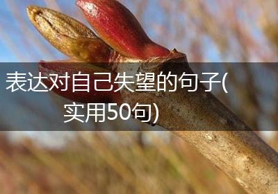 表达对自己失望的句子(实用50句)