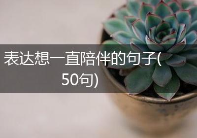 表达想一直陪伴的句子(50句)