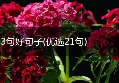 3句好句子(优选21句)