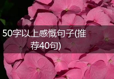 50字以上感慨句子(推荐40句)