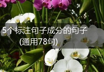5个标注句子成分的句子(通用78句)