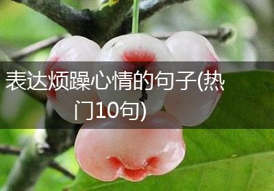 表达烦躁心情的句子(热门10句)