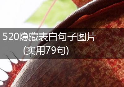 520隐藏表白句子图片(实用79句)