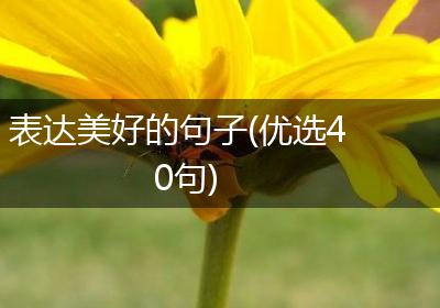 表达美好的句子(优选40句)