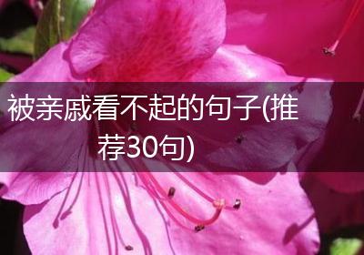 被亲戚看不起的句子(推荐30句)
