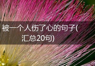 被一个人伤了心的句子(汇总20句)