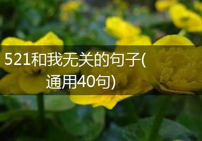 521和我无关的句子(通用40句)