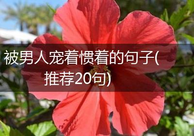 被男人宠着惯着的句子(推荐20句)