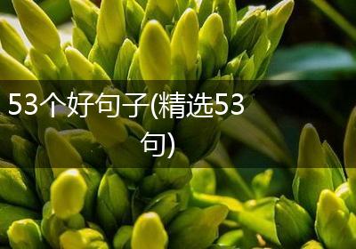 53个好句子(精选53句)