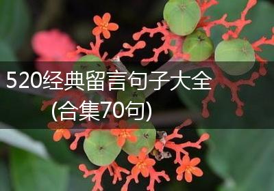 520经典留言句子大全(合集70句)