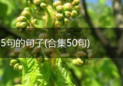 5句的句子(合集50句)