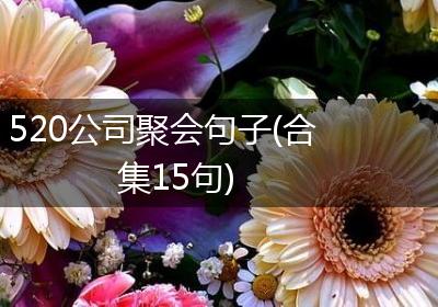 520公司聚会句子(合集15句)