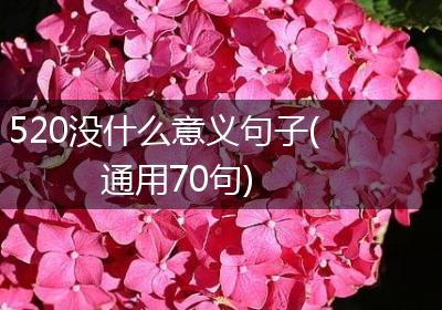 520没什么意义句子(通用70句)