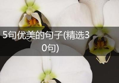 5句优美的句子(精选30句)