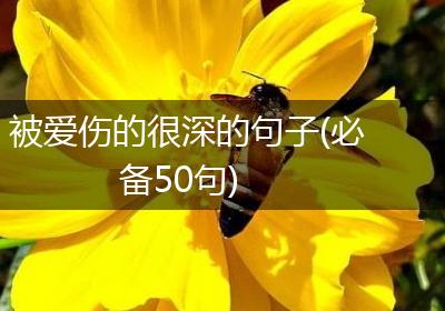 被爱伤的很深的句子(必备50句)