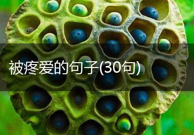 被疼爱的句子(30句)