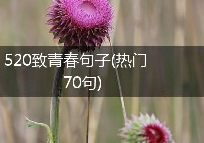 520致青春句子(热门70句)