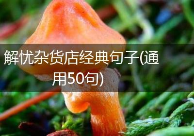 解忧杂货店经典句子(通用50句)