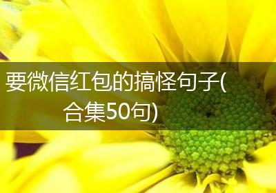 要微信红包的搞怪句子(合集50句)
