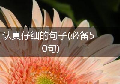 认真仔细的句子(必备50句)