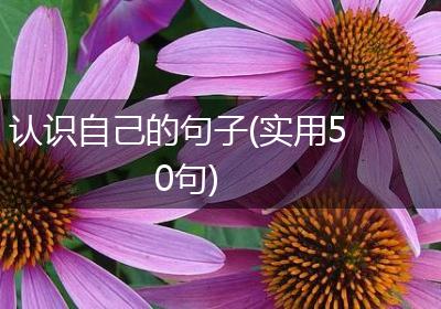 认识自己的句子(实用50句)