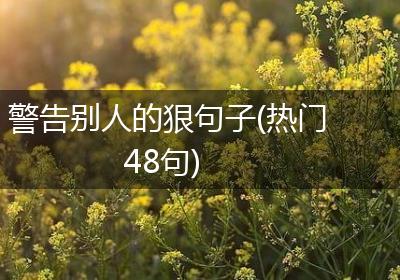 警告别人的狠句子(热门48句)