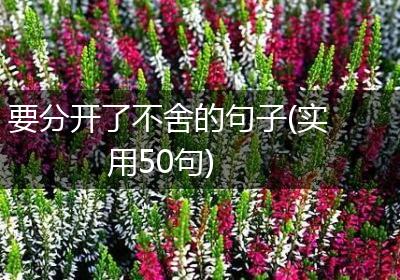 要分开了不舍的句子(实用50句)