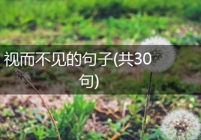 视而不见的句子(共30句)