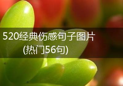 520经典伤感句子图片(热门56句)
