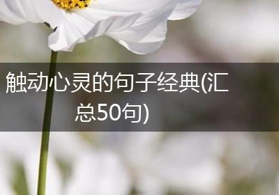 触动心灵的句子经典(汇总50句)