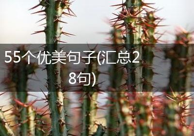 55个优美句子(汇总28句)