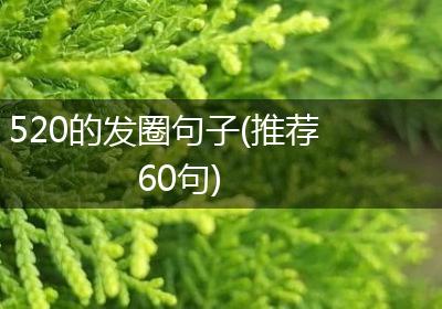 520的发圈句子(推荐60句)