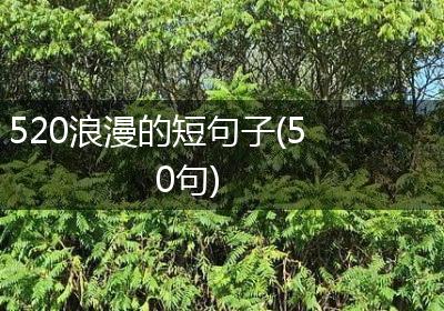 520浪漫的短句子(50句)