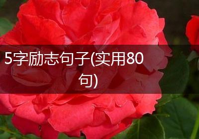 5字励志句子(实用80句)