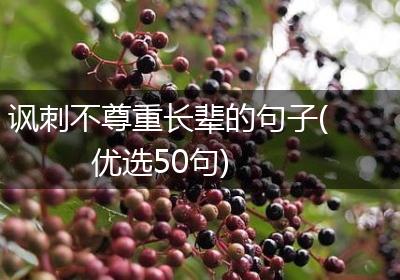 讽刺不尊重长辈的句子(优选50句)