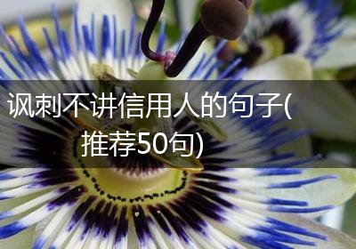 讽刺不讲信用人的句子(推荐50句)
