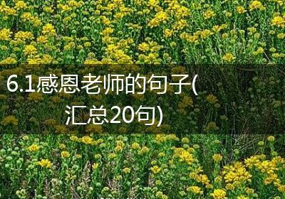 6.1感恩老师的句子(汇总20句)