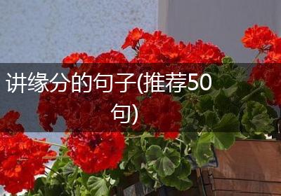 讲缘分的句子(推荐50句)