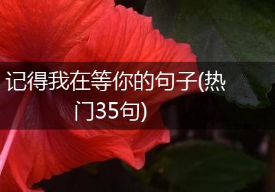 记得我在等你的句子(热门35句)