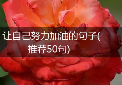 让自己努力加油的句子(推荐50句)