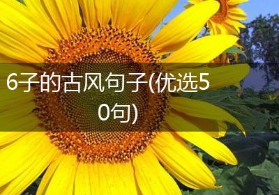 6子的古风句子(优选50句)
