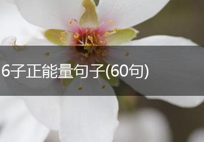 6子正能量句子(60句)