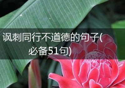讽刺同行不道德的句子(必备51句)