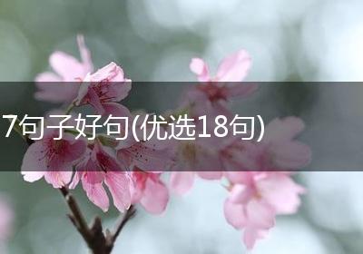 7句子好句(优选18句)