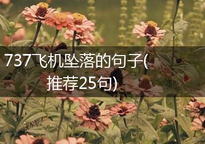 737飞机坠落的句子(推荐25句)