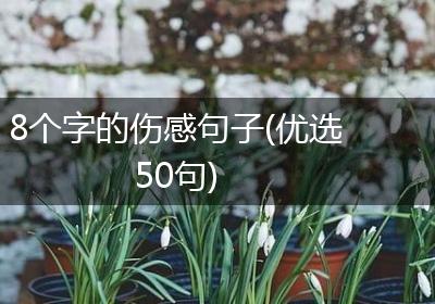 8个字的伤感句子(优选50句)