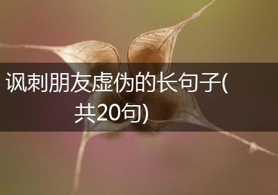 讽刺朋友虚伪的长句子(共20句)