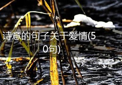 诗意的句子关于爱情(50句)