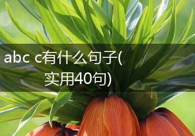 abc c有什么句子(实用40句)